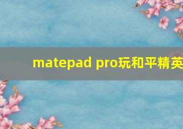 matepad pro玩和平精英